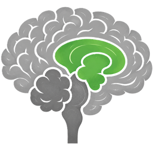 Amygdala