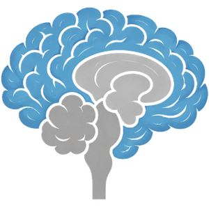 Pre Frontal Cortex